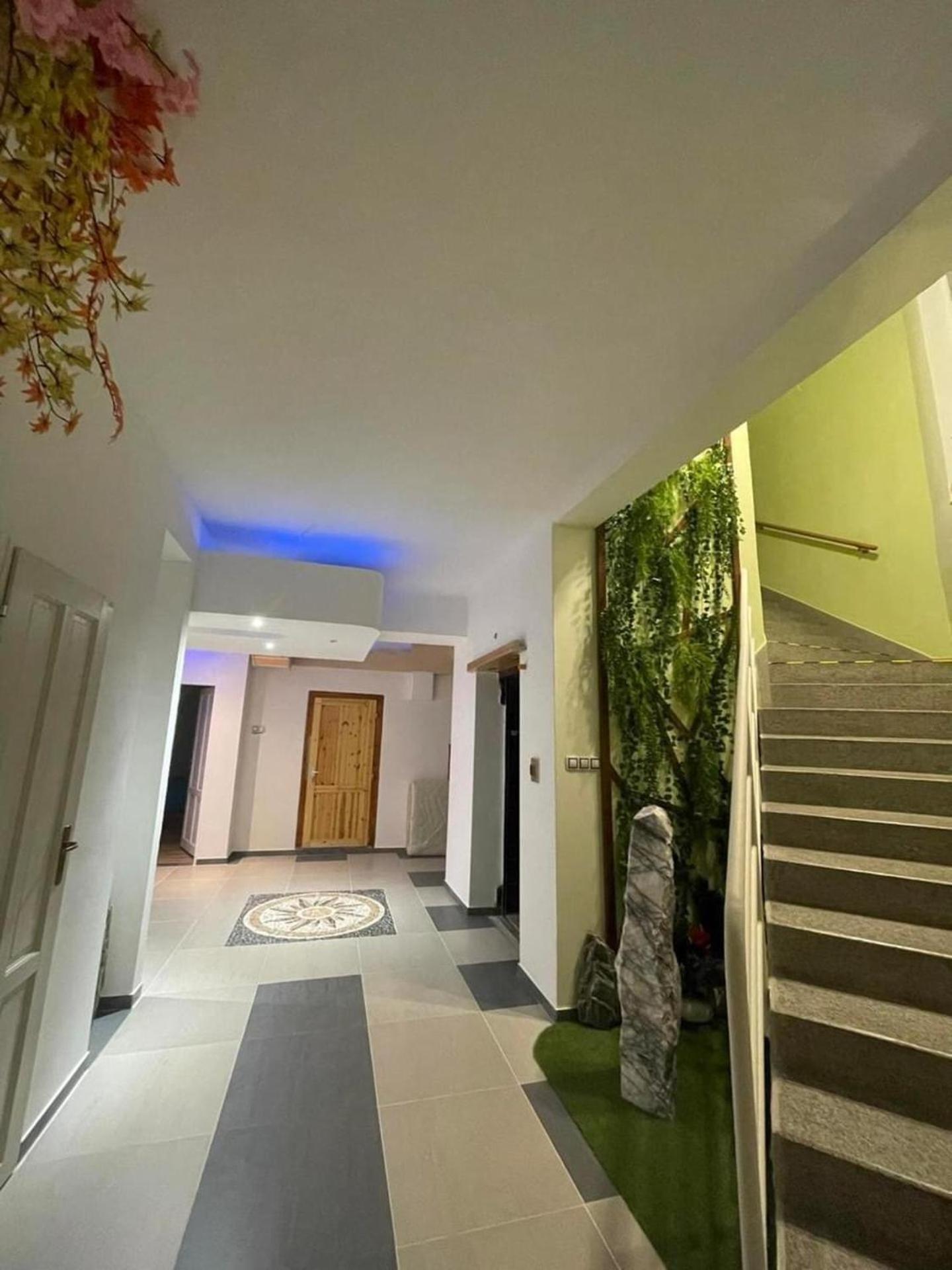 Apartment Cozy In Zizkov Prag