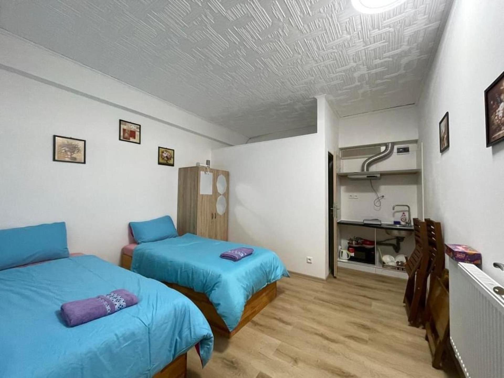 Cozy In Zizkov Prag